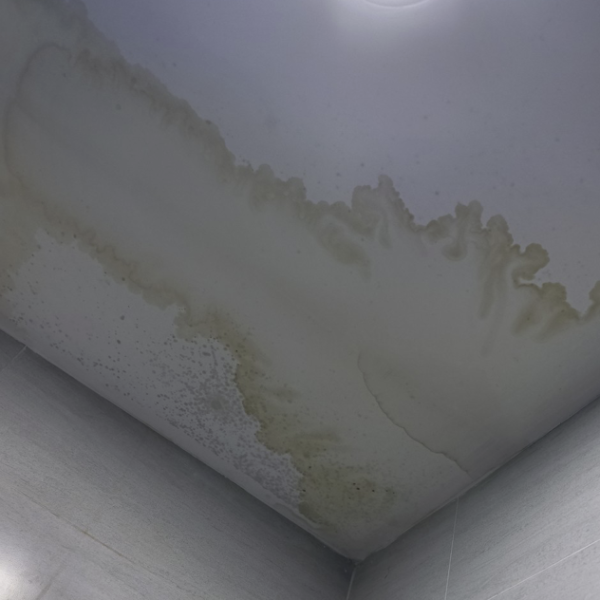 Capture d’écran 2023-05-16 à 17.47.41