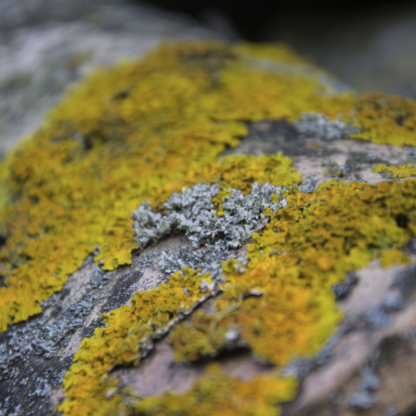 Capture d’écran 2023-05-16 à 17.50.25