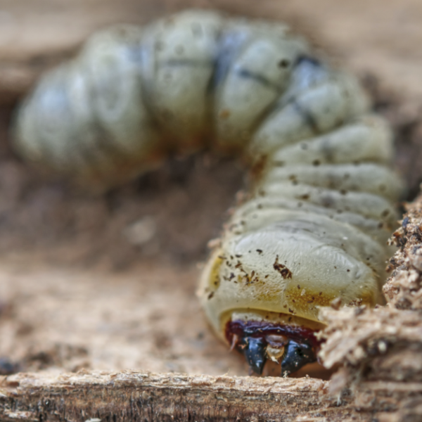Capture d’écran 2023-05-16 à 18.04.13