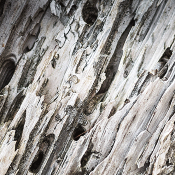 Capture d’écran 2023-05-16 à 18.04.18