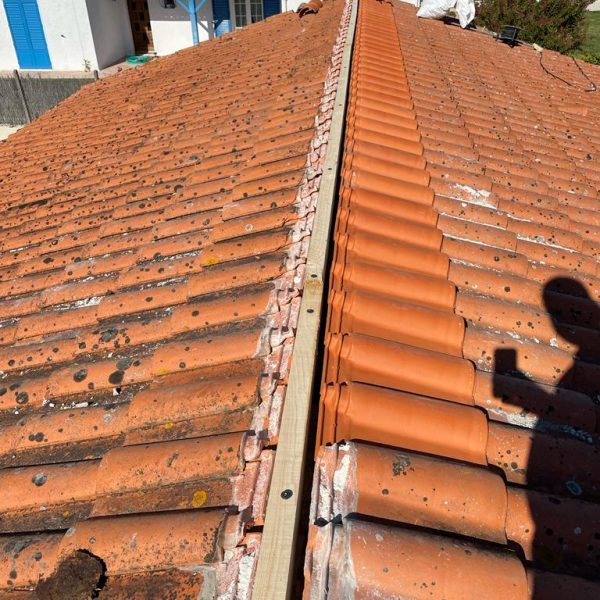 WhatsApp Image 2023-08-29 at 15.06.08