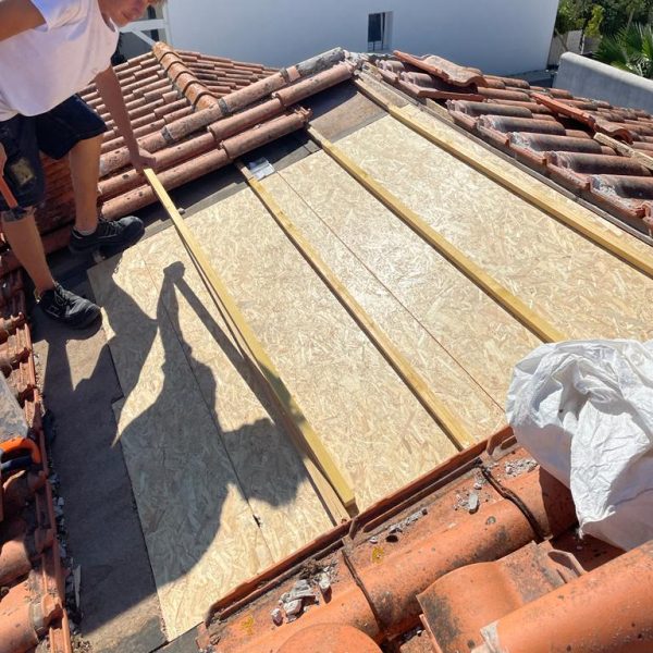 WhatsApp Image 2023-08-29 at 15.06.41 (1)