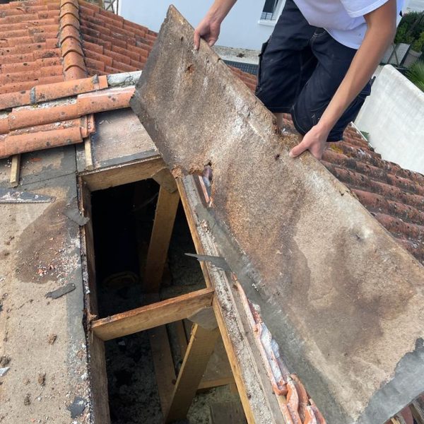 WhatsApp Image 2023-08-29 at 15.06.41