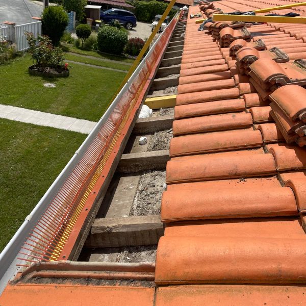 WhatsApp Image 2024-12-13 at 10.26.59