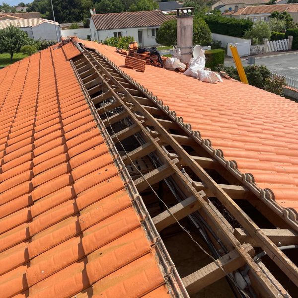 WhatsApp Image 2024-12-13 at 10.27.19