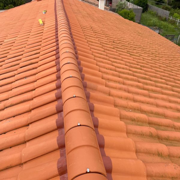 WhatsApp Image 2024-12-13 at 10.28.09