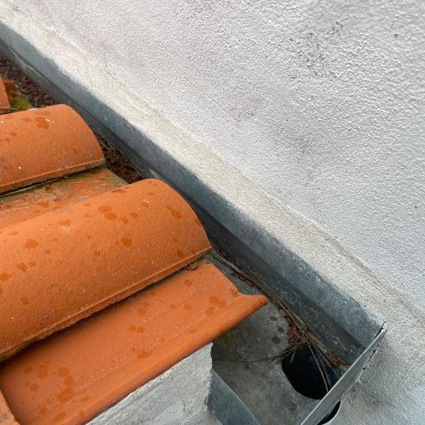 WhatsApp Image 2024-12-13 at 10.30.19