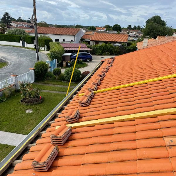 WhatsApp Image 2024-12-13 at 10.31.27