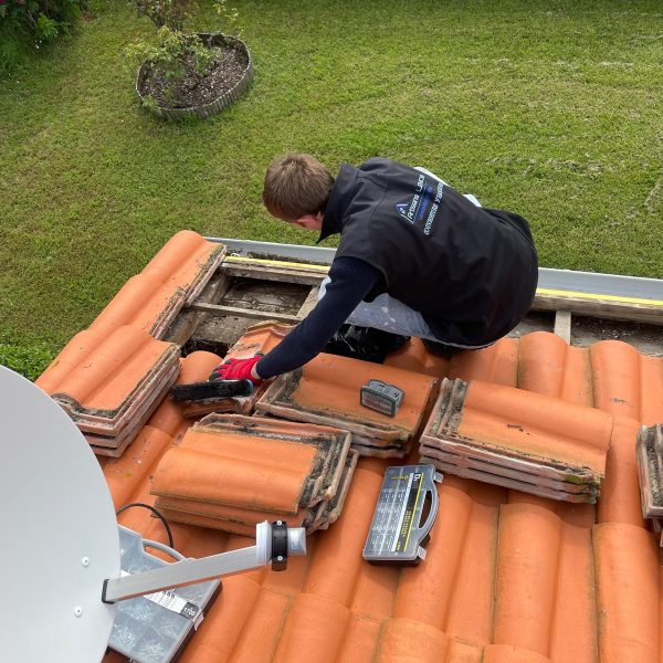 WhatsApp Image 2024-12-13 at 10.32.04