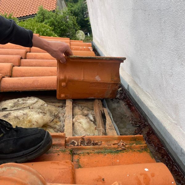 WhatsApp Image 2024-12-13 at 10.33.35 (1)