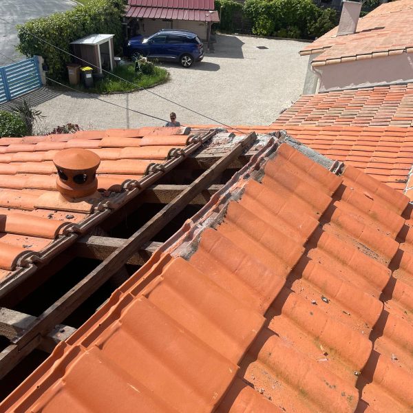 WhatsApp Image 2024-12-13 at 10.33.36