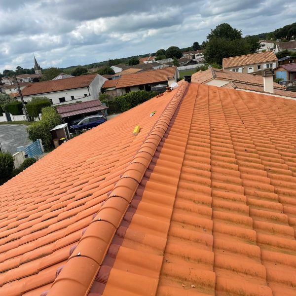 WhatsApp Image 2024-12-13 at 10.33.44