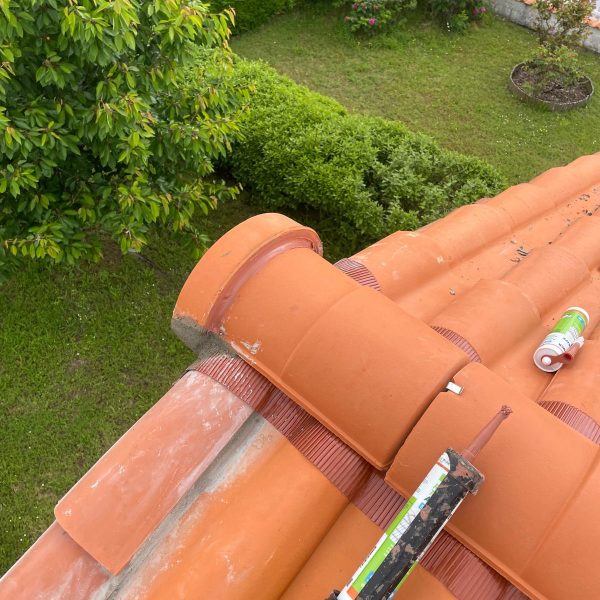 WhatsApp Image 2024-12-13 at 10.33.46