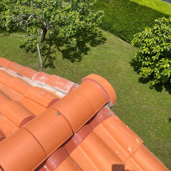 WhatsApp Image 2024-12-13 at 10.33.47