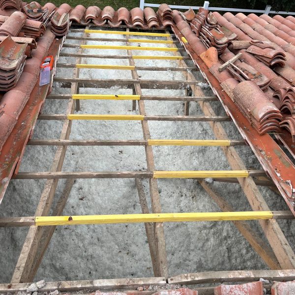 WhatsApp Image 2024-12-13 at 10.33.50