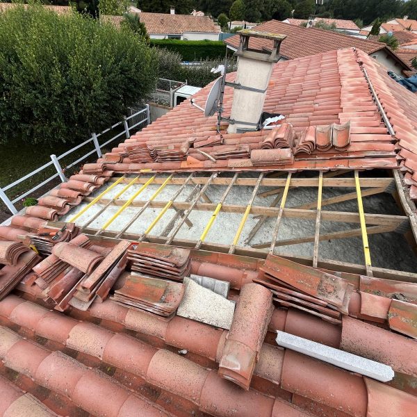 WhatsApp Image 2024-12-13 at 10.33.51