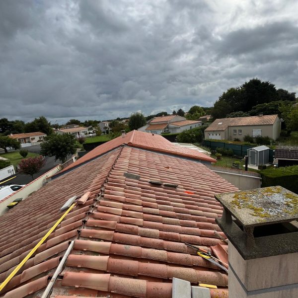 WhatsApp Image 2024-12-13 at 10.33.53