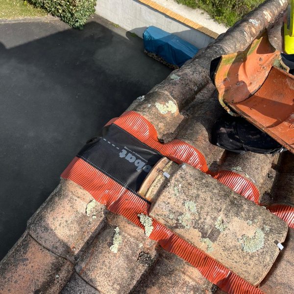 WhatsApp Image 2024-12-13 at 10.33.57