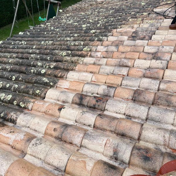 WhatsApp Image 2024-12-13 at 10.33.59