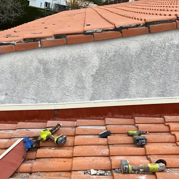 WhatsApp Image 2024-12-13 at 10.43.29