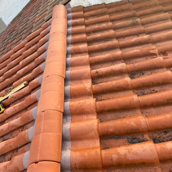 WhatsApp Image 2024-12-13 at 10.43.38 (1)