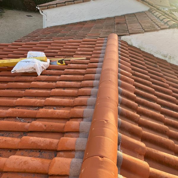 WhatsApp Image 2024-12-13 at 10.43.38