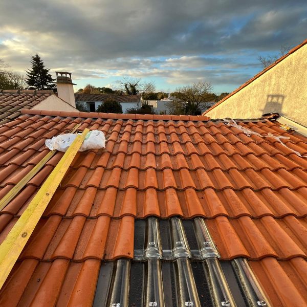 WhatsApp Image 2024-12-13 at 10.43.39 (1)