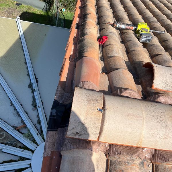 WhatsApp Image 2024-12-13 at 10.47.59