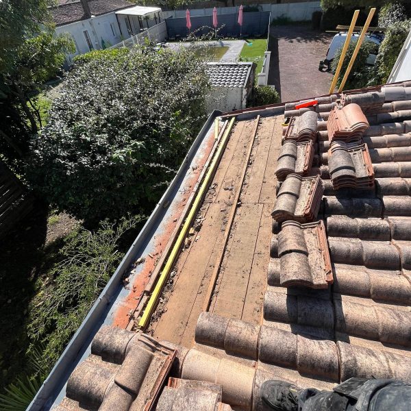 WhatsApp Image 2024-12-13 at 10.48.00 (1)