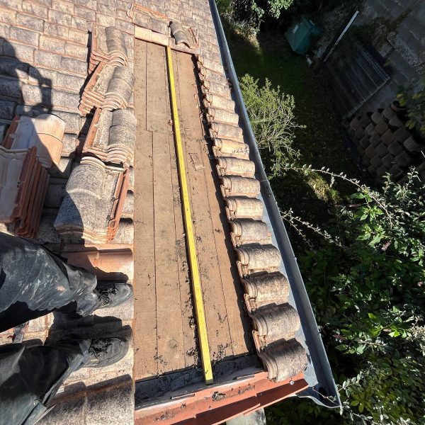 WhatsApp Image 2024-12-13 at 10.48.00 (2)