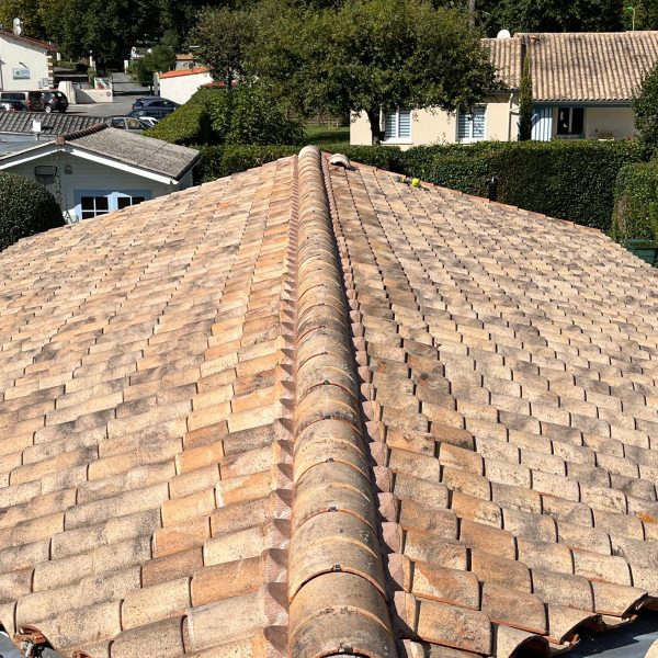 WhatsApp Image 2024-12-13 at 10.48.00