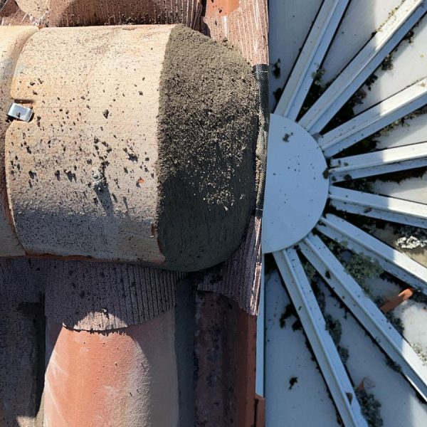 WhatsApp Image 2024-12-13 at 10.48.01 (1)